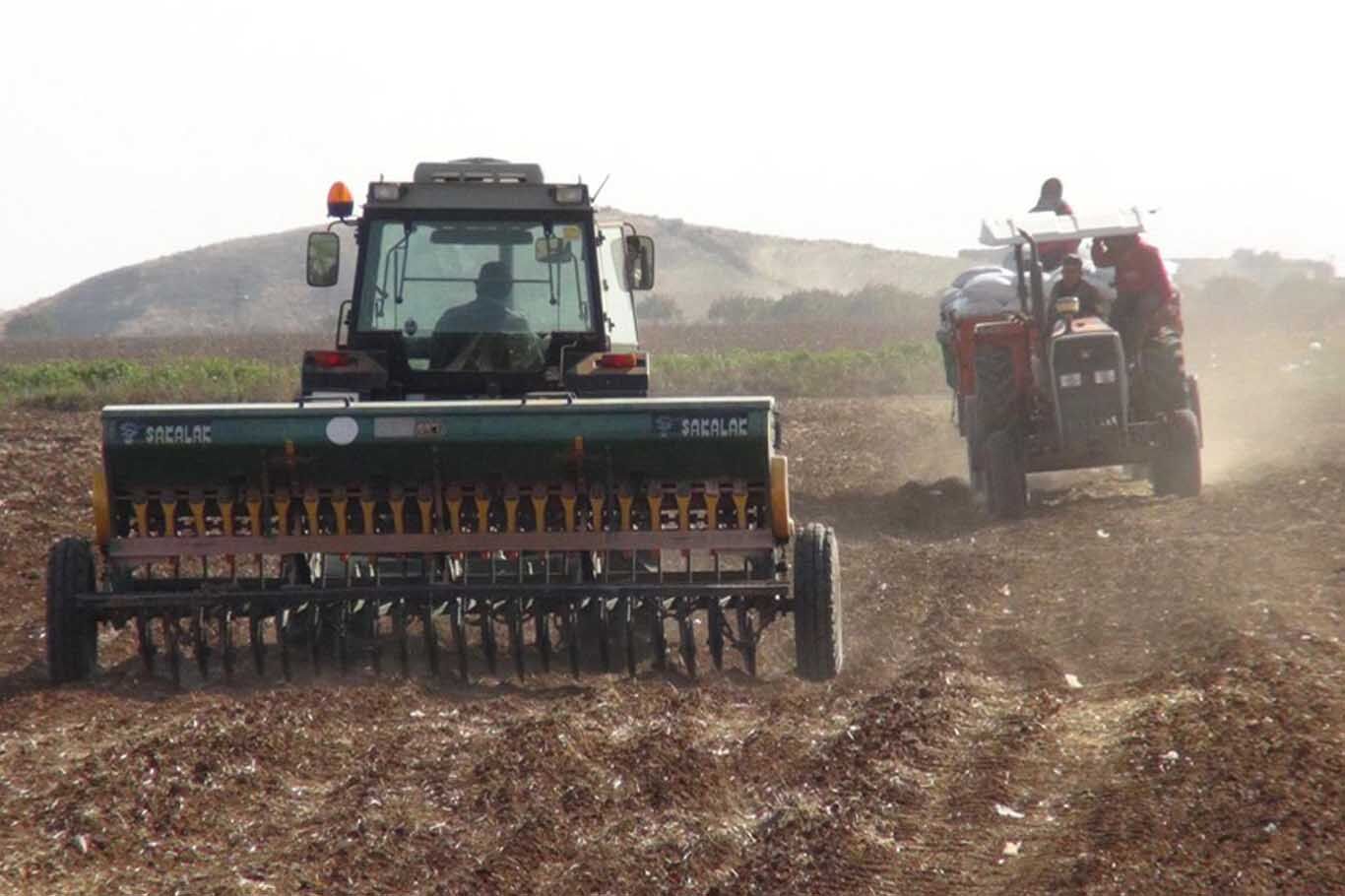 Mardin’de 3 Milyon Dönüm Alana Buğday Ekimi Yapılacak 3