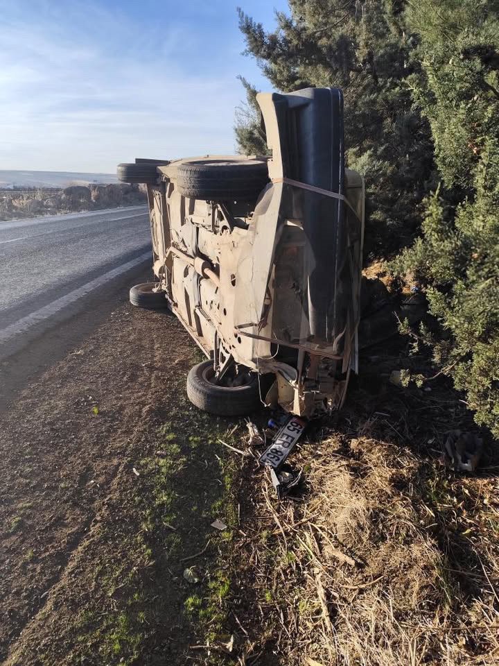 Şanlıurfa'da Otomobil Aniden Yola Çıkan Ata Çarptı 1