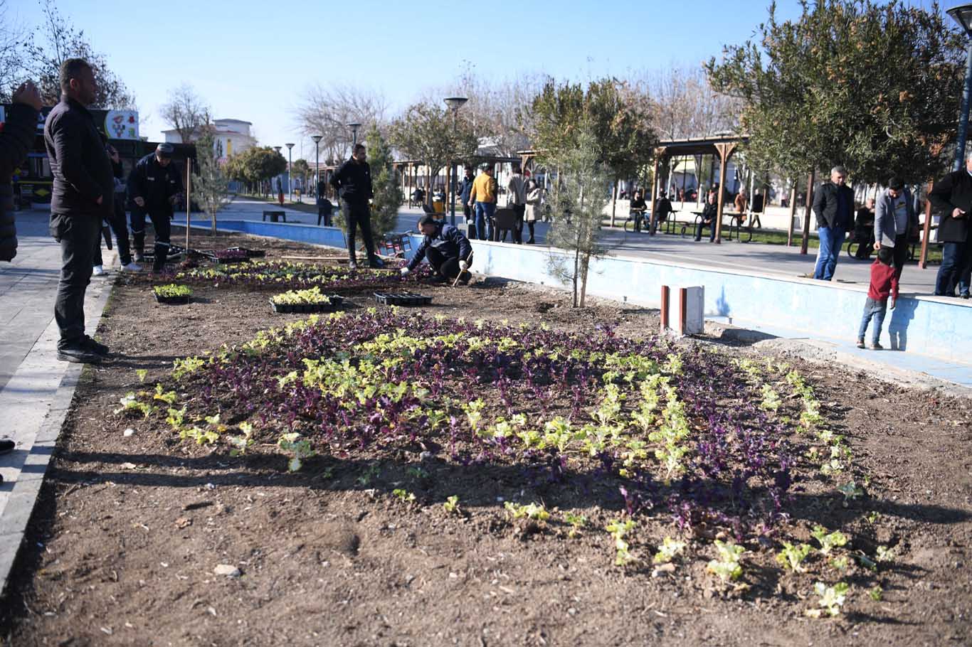 Bismil’de Parklara Mevsimlik Çiçek Ekildi 2