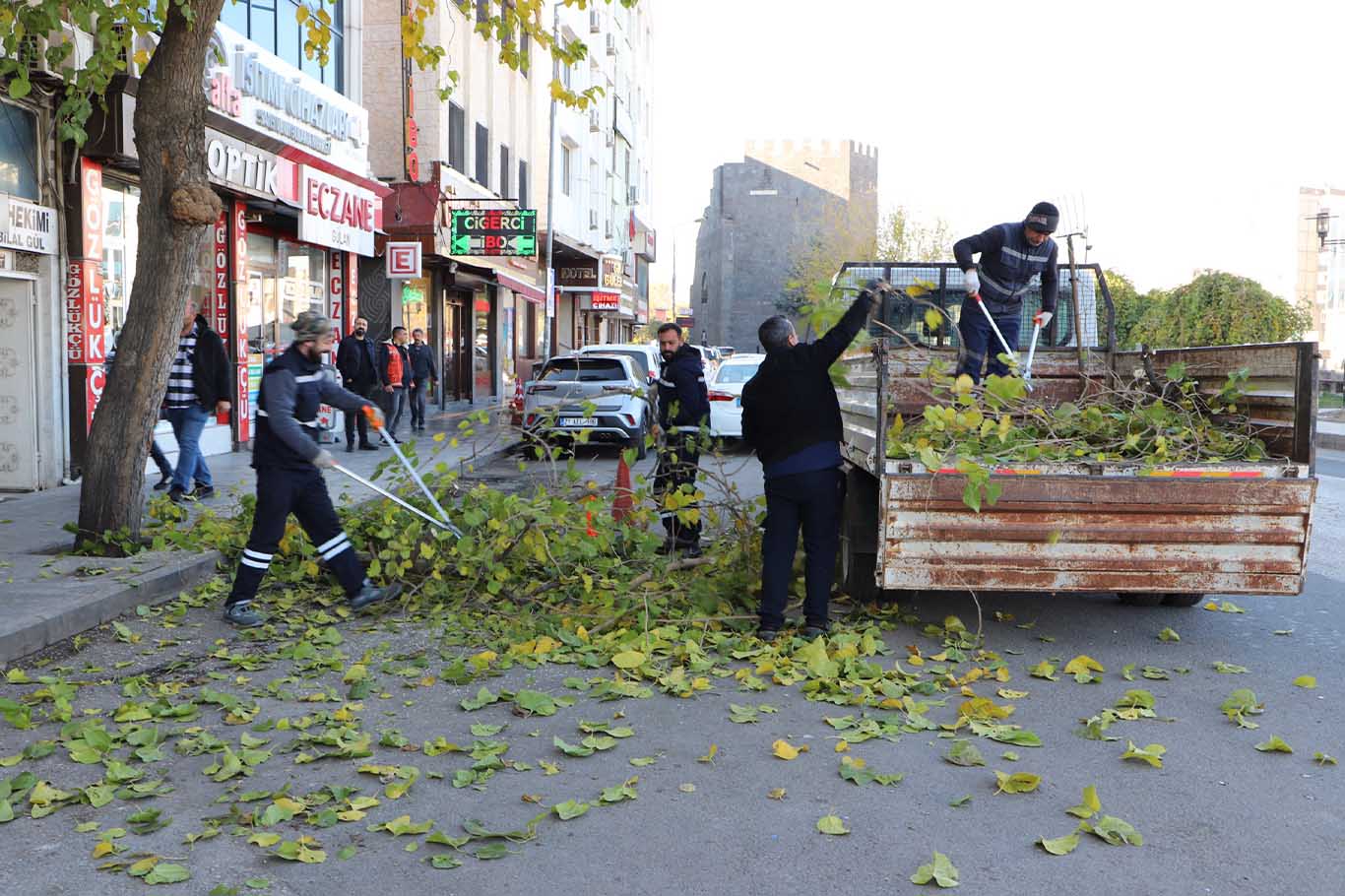 Diyarbakır'da 25 Bin Ağaç Budandı; Odunlar Ihtiyaç Sahiplerine Verildi 1