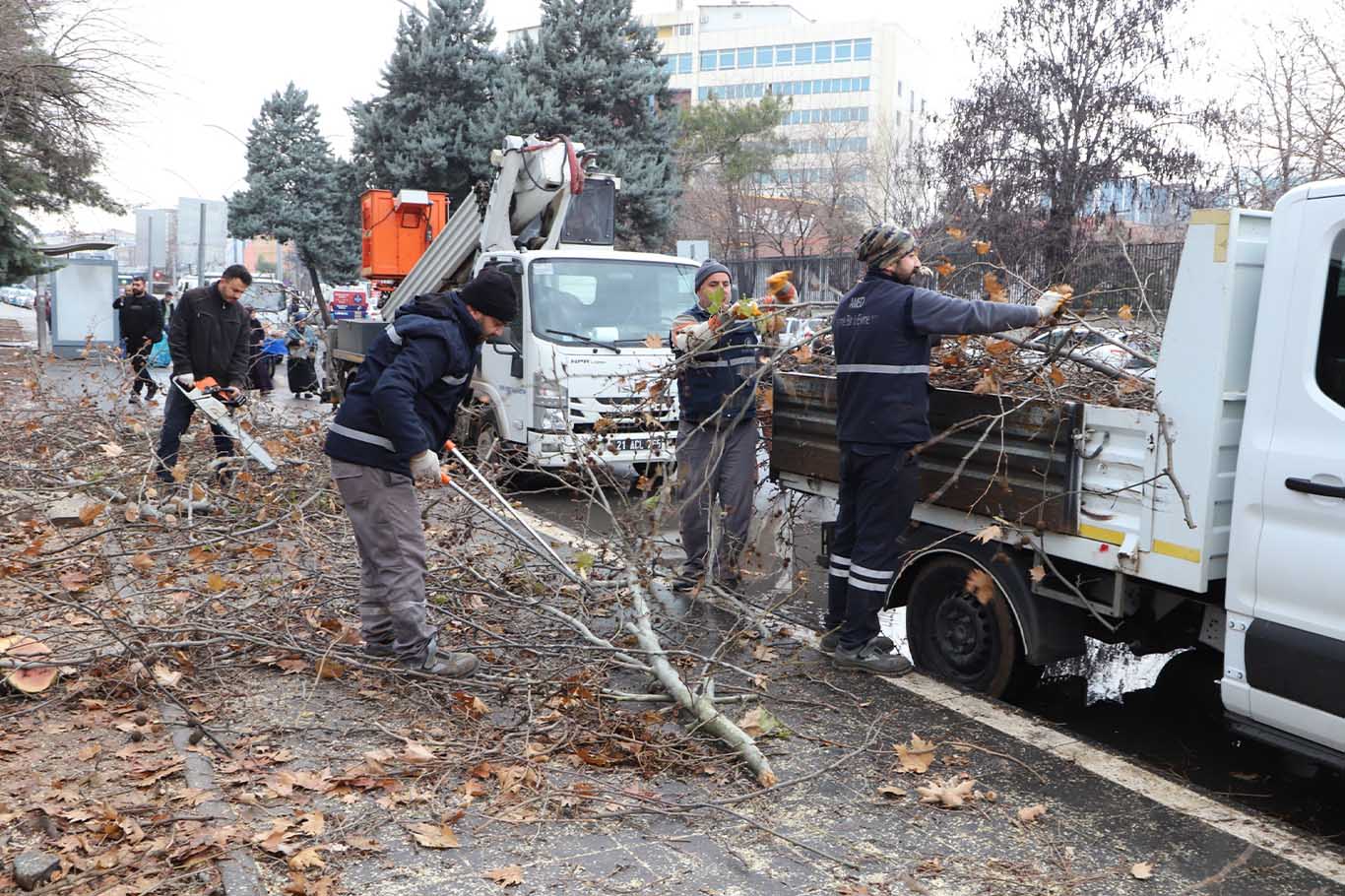 Diyarbakır'da 25 Bin Ağaç Budandı; Odunlar Ihtiyaç Sahiplerine Verildi 3