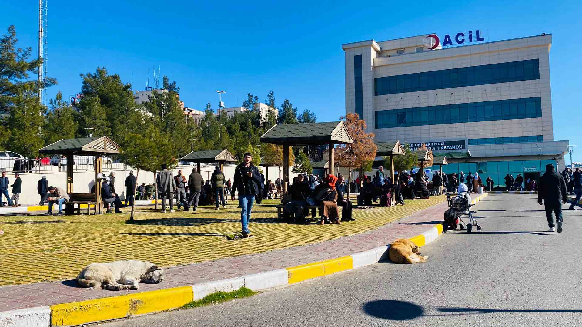 Diyarbakır’da Başıboş Köpeğin Saldırdığı 5 Yaşındaki Çocuk Yaralandı 4