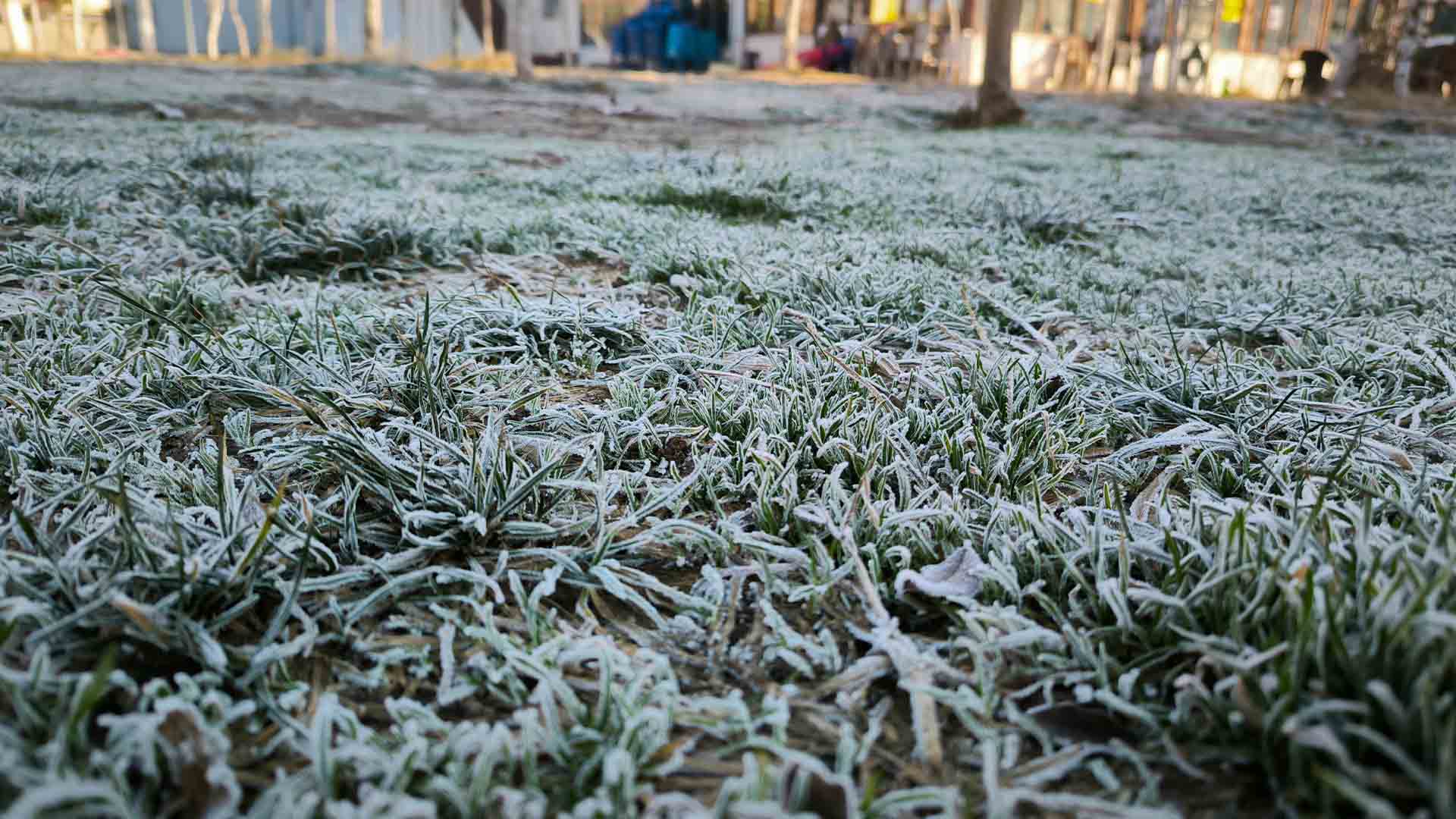 Diyarbakır’da Dondurucu Soğuk Etkili Oldu 4