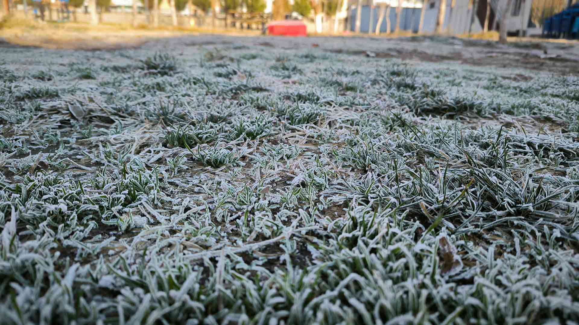 Diyarbakır’da Dondurucu Soğuk Etkili Oldu 8