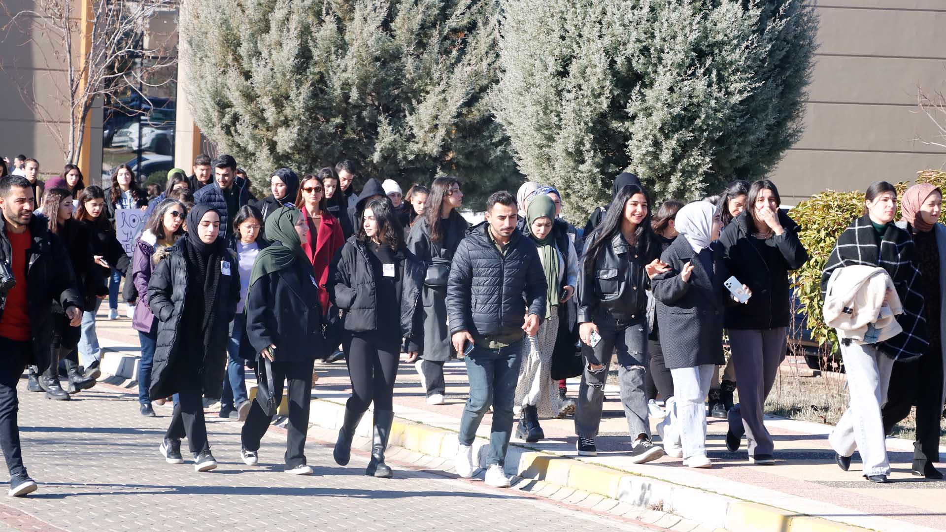 Diyarbakır’da Rojin Kabaiş Için Basın Açıklaması Düzenlendi 3