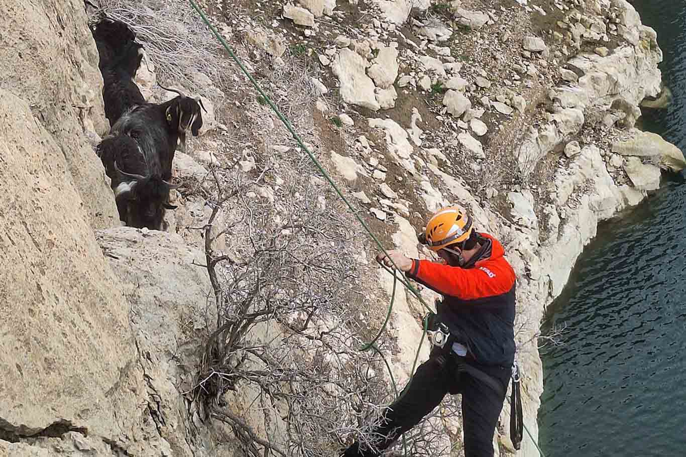 Kayalıklarda Mahsur Kalan 20 Keçi Kurtarıldı 1