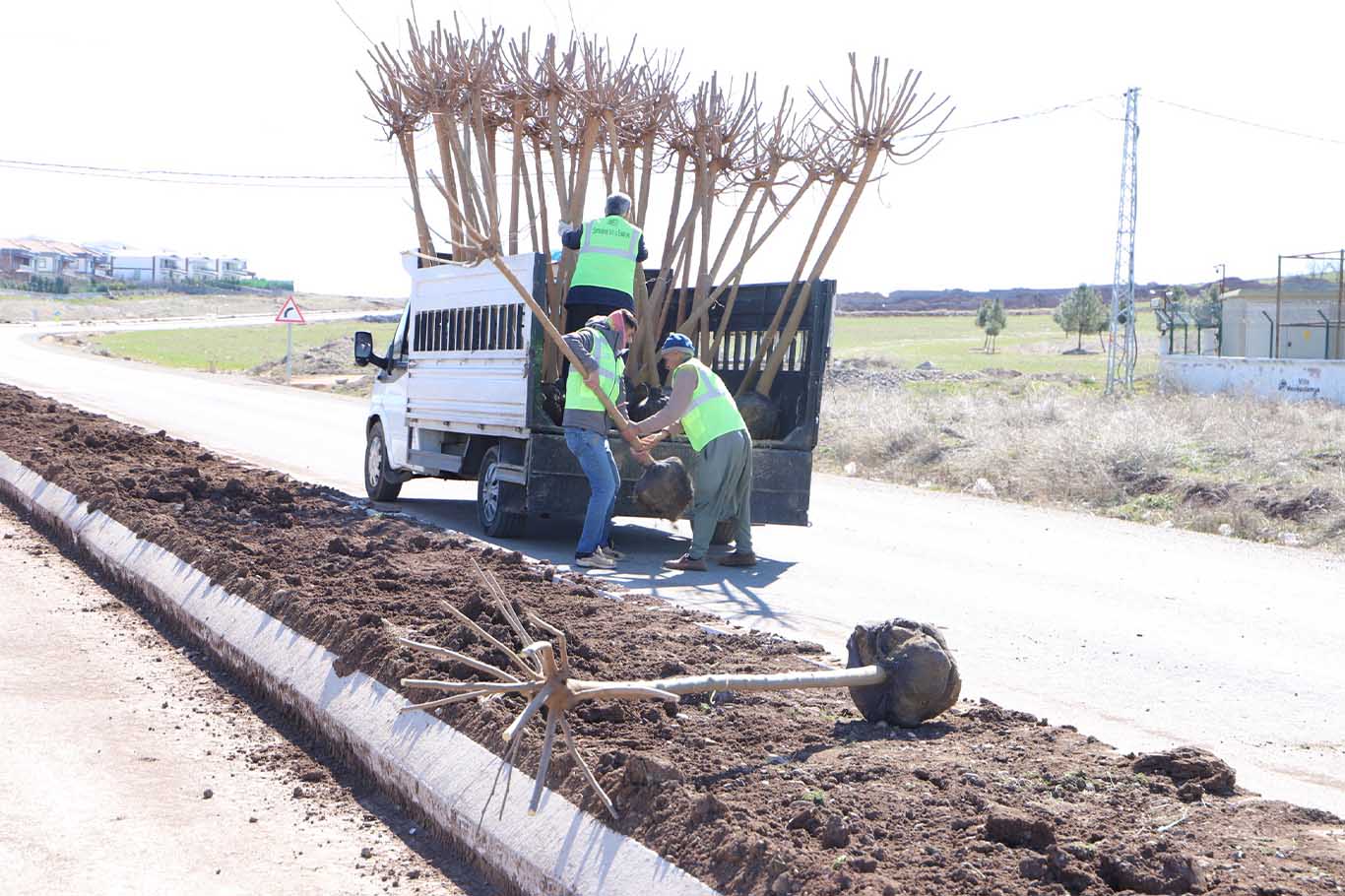 Diyarbakır’da 10 Bin Ağaç Ve 25 Bin Çalı Toprakla Buluşuyor 2