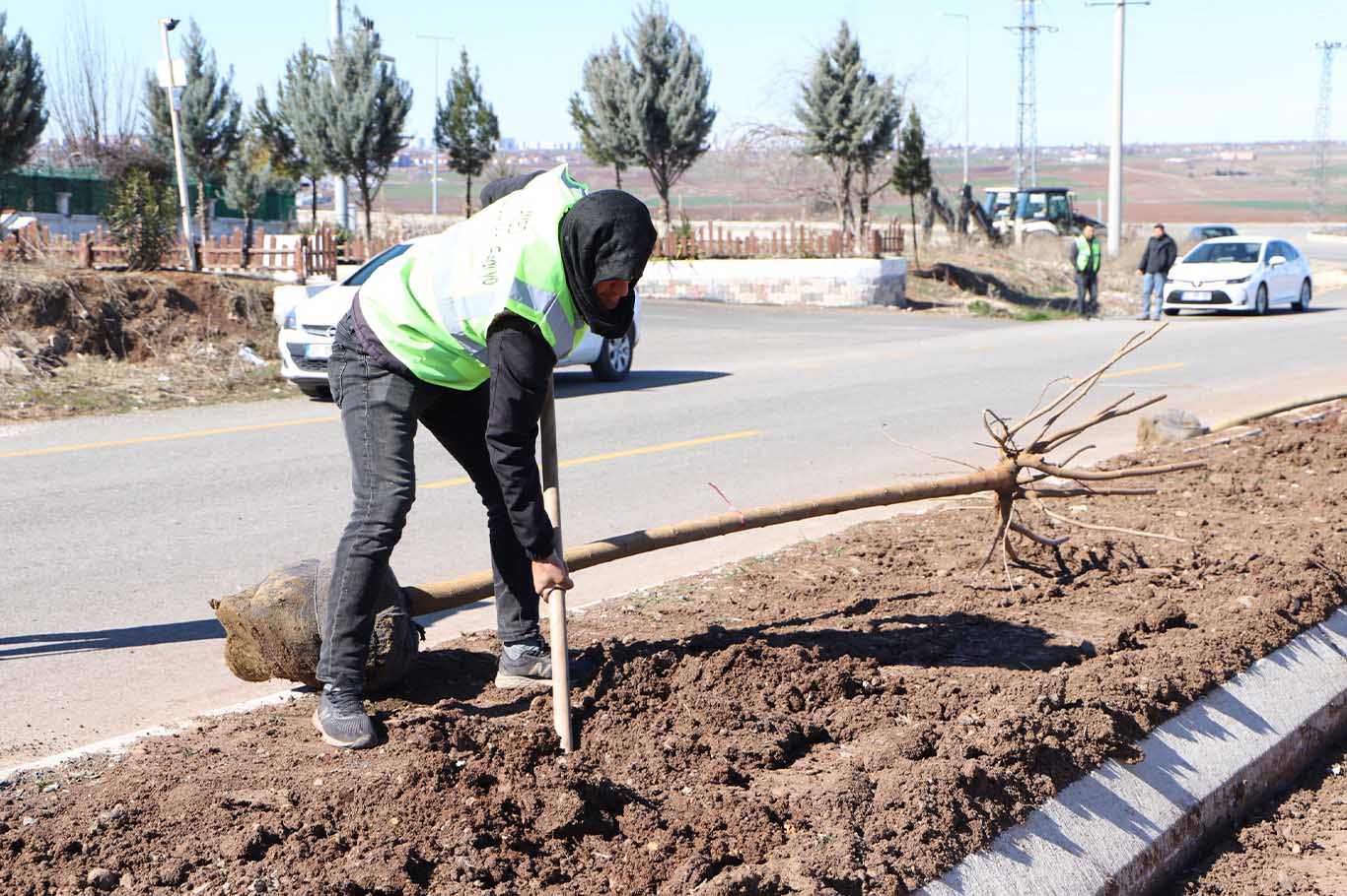 Diyarbakır’da 10 Bin Ağaç Ve 25 Bin Çalı Toprakla Buluşuyor 3