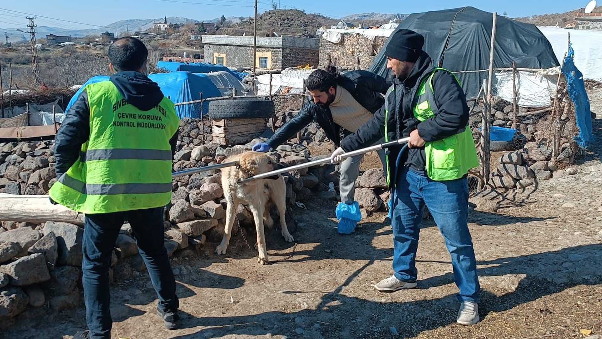 Diyarbakır’ın Komşu Ilçesinde Kuduz Alarmı 3 Kişi Yaralandı, Bölge Karantinaya Alındı