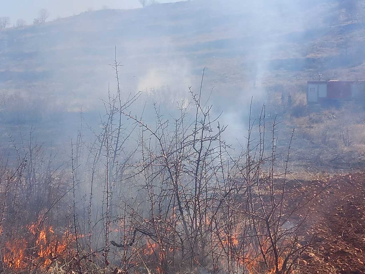 Mardin’de Çıkan Örtü Yangını Söndürüldü 2