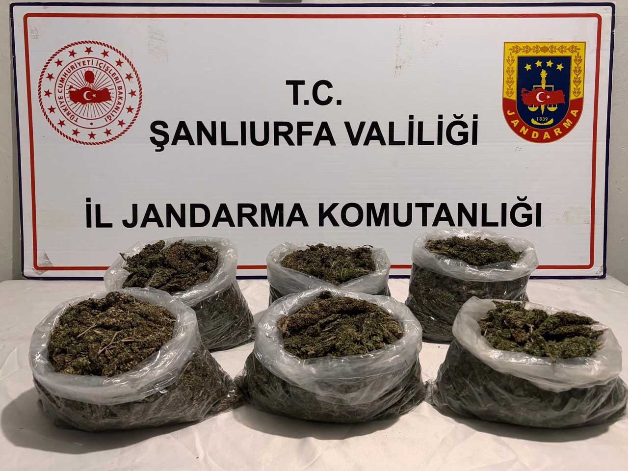 Şanlıurfa'da Uyuşturucu Operasyonu 16 Gözaltı 1