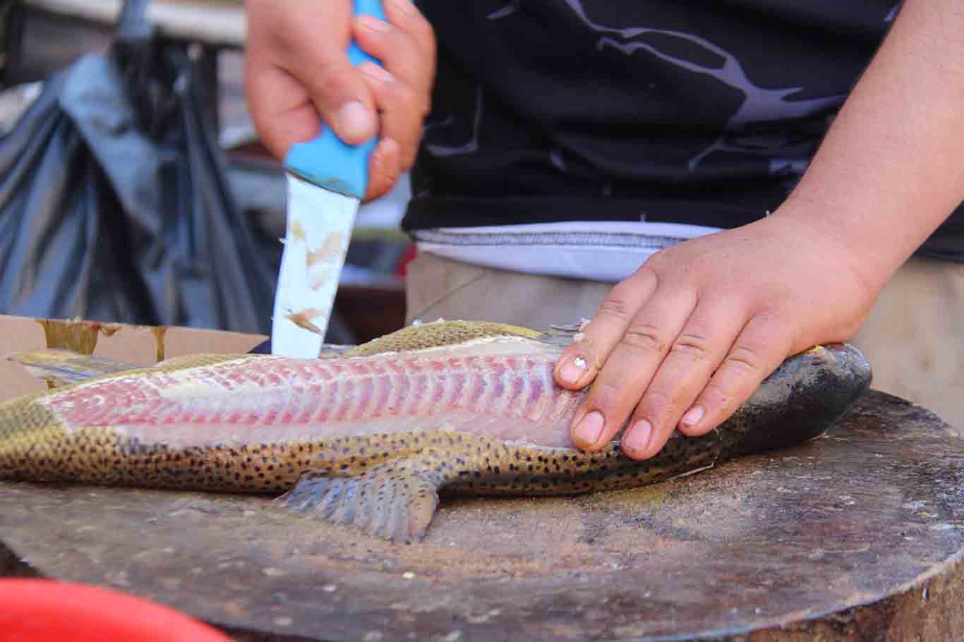 Diyarbakır’da Ramazan, Balık Tezgahlarını Hareketlendirdi 2