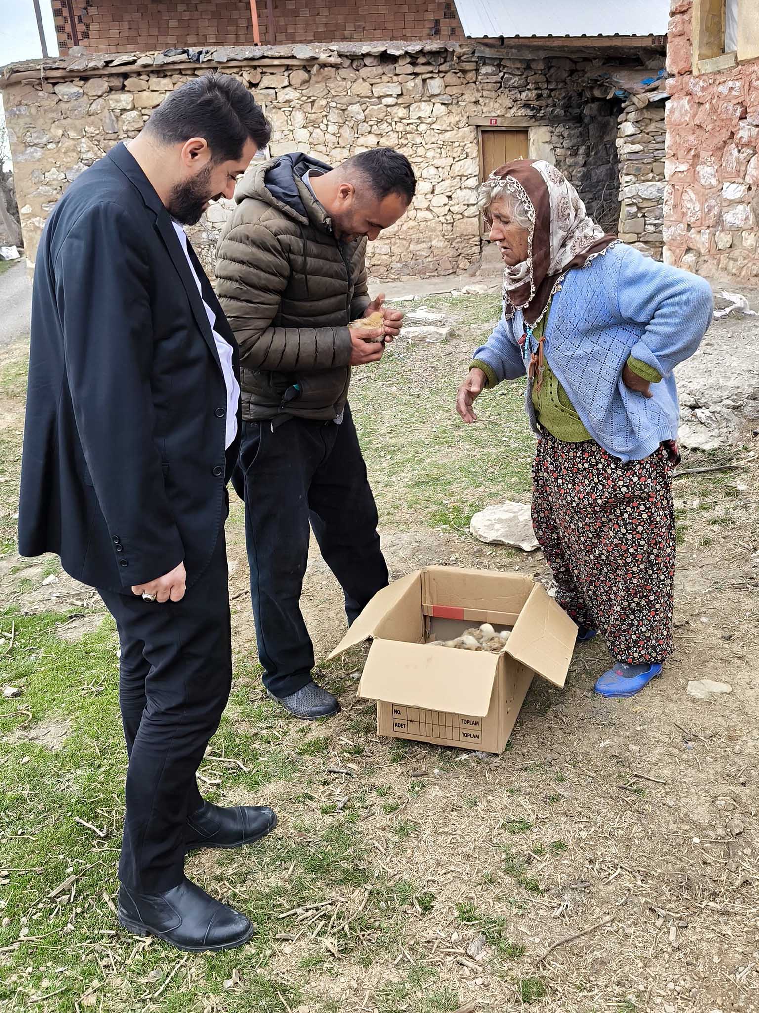 Tilkiyi Eliyle Yakalayan Tayyibe Nineye Civciv Desteği 2