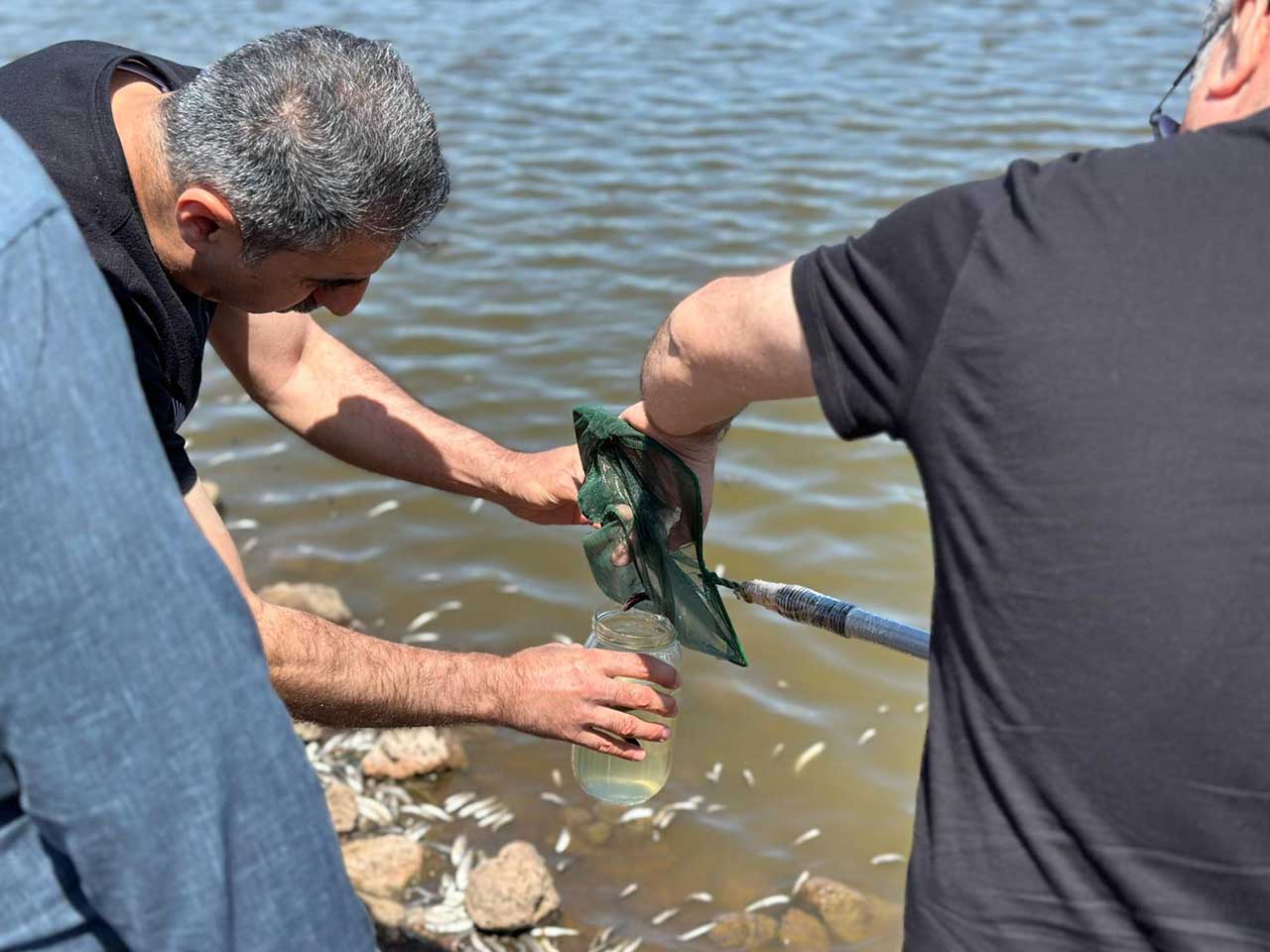 Diyarbakır'da Mahalle Sakinleri Fark Etti, Inceleme Başlatıldı 1