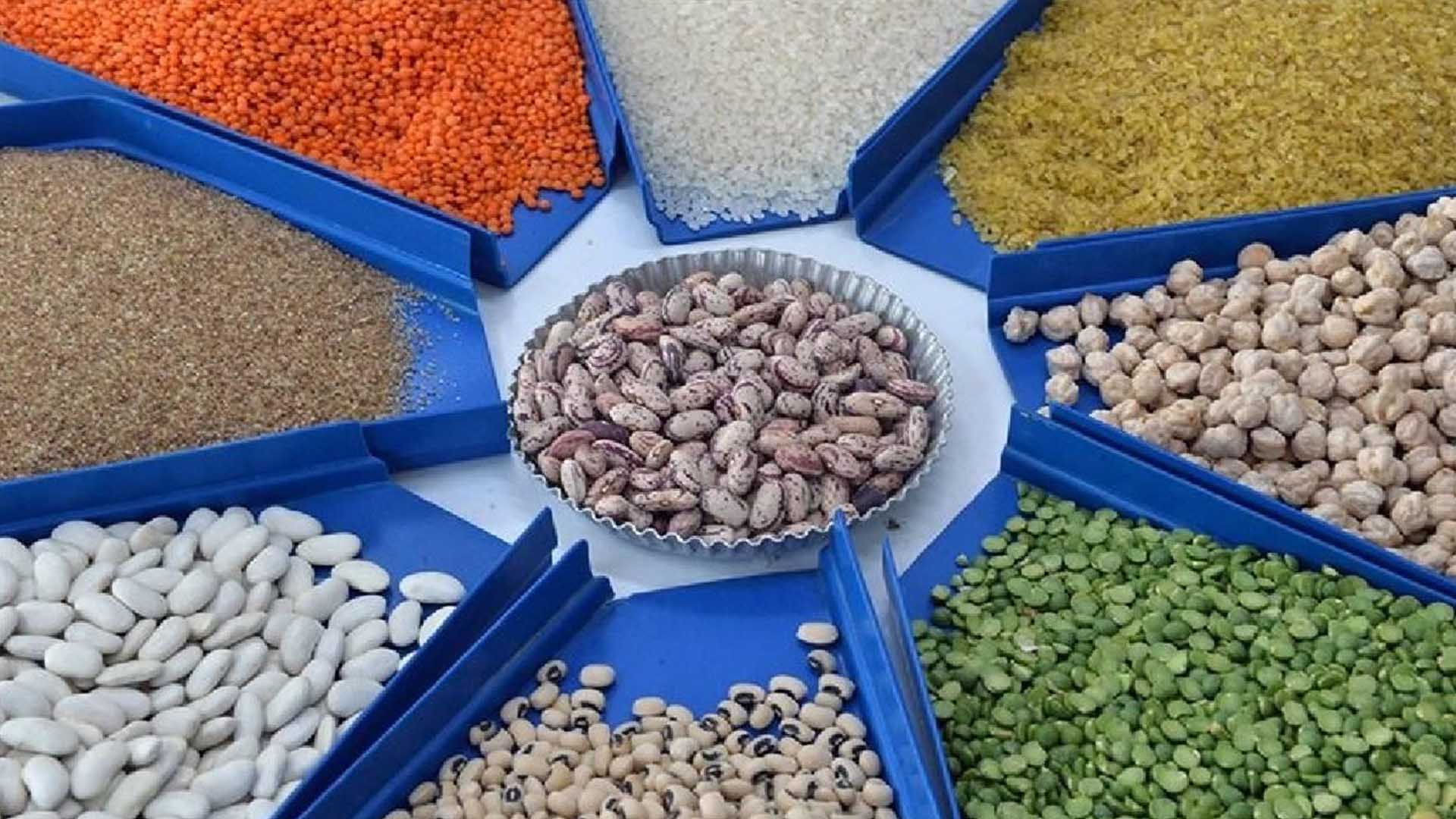 Güneydoğu'nun Hububat Ihracatı Arttı 1