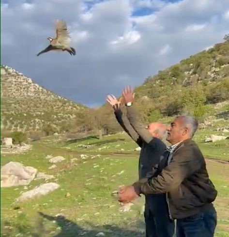 Yasa Dışı Avlanan Kınalı Keklikler Doğaya Bırakıldı (2)
