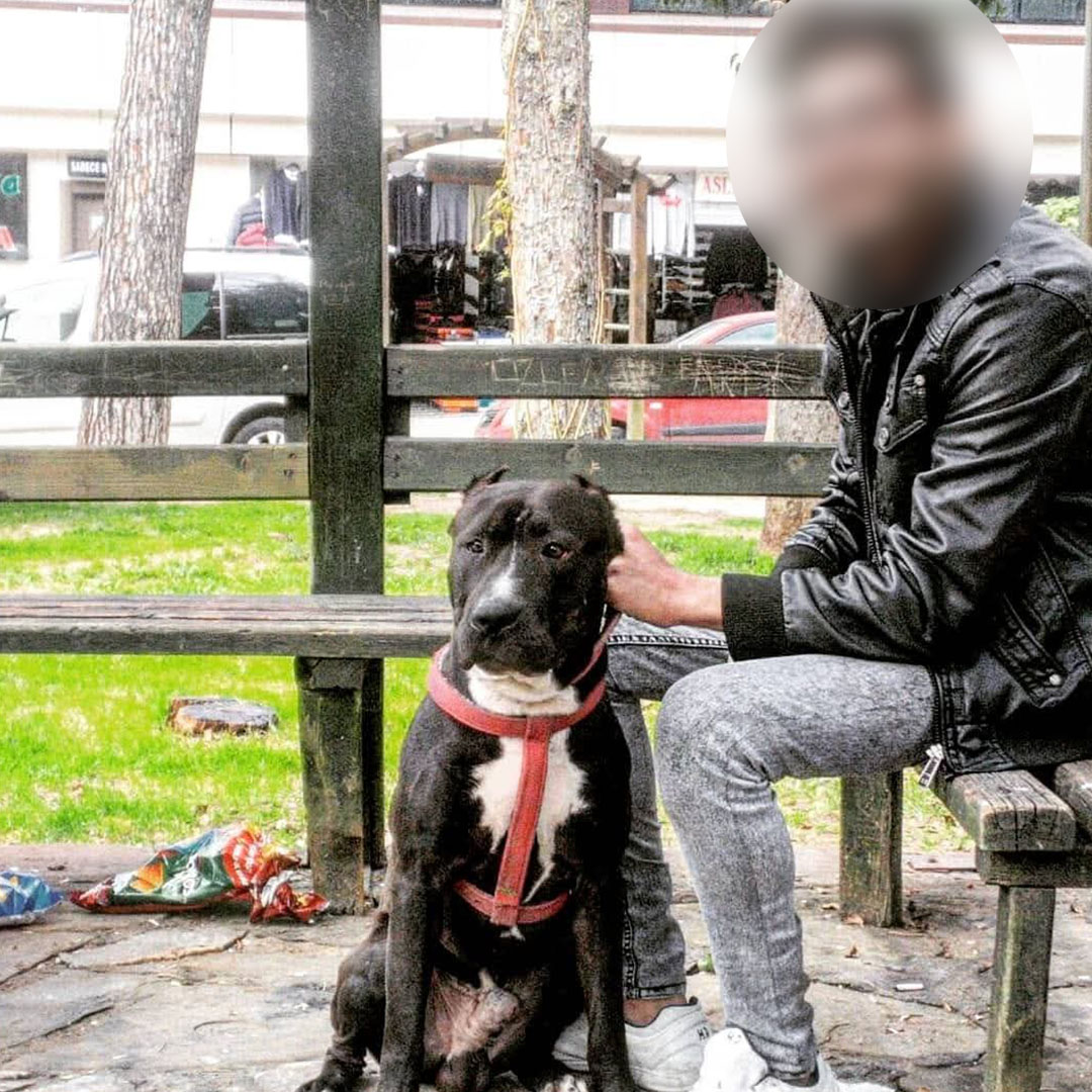 Belediye Işçisi, Yaptığı Temizliği Beğenmeyen Esnafı Öldürdü 2