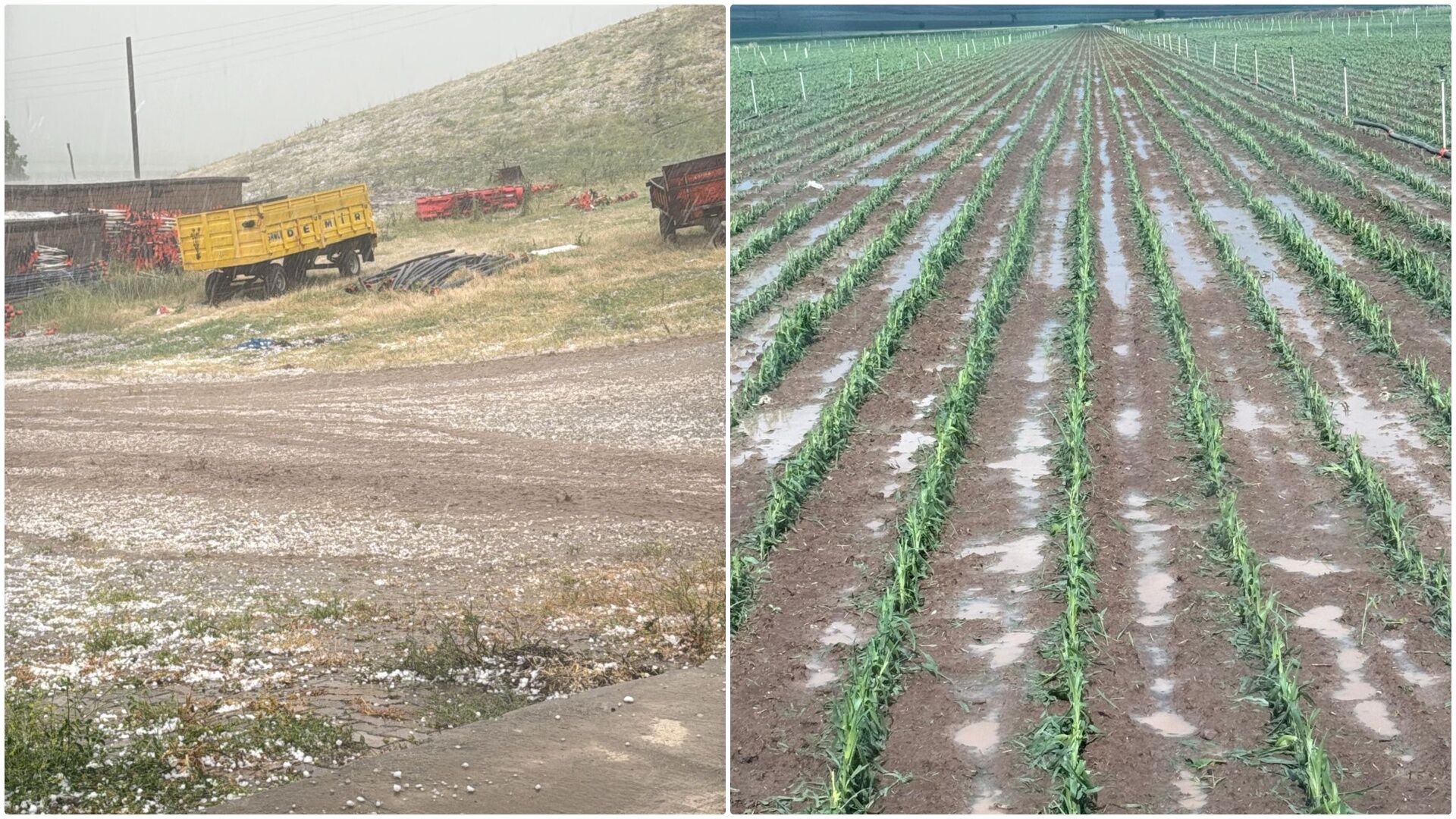 Bismil’de Ceviz Büyüklüğünde Dolu Yağdı En Az 15 Köyde Ekili Tarım Arazileri Zarar Gördü (2)