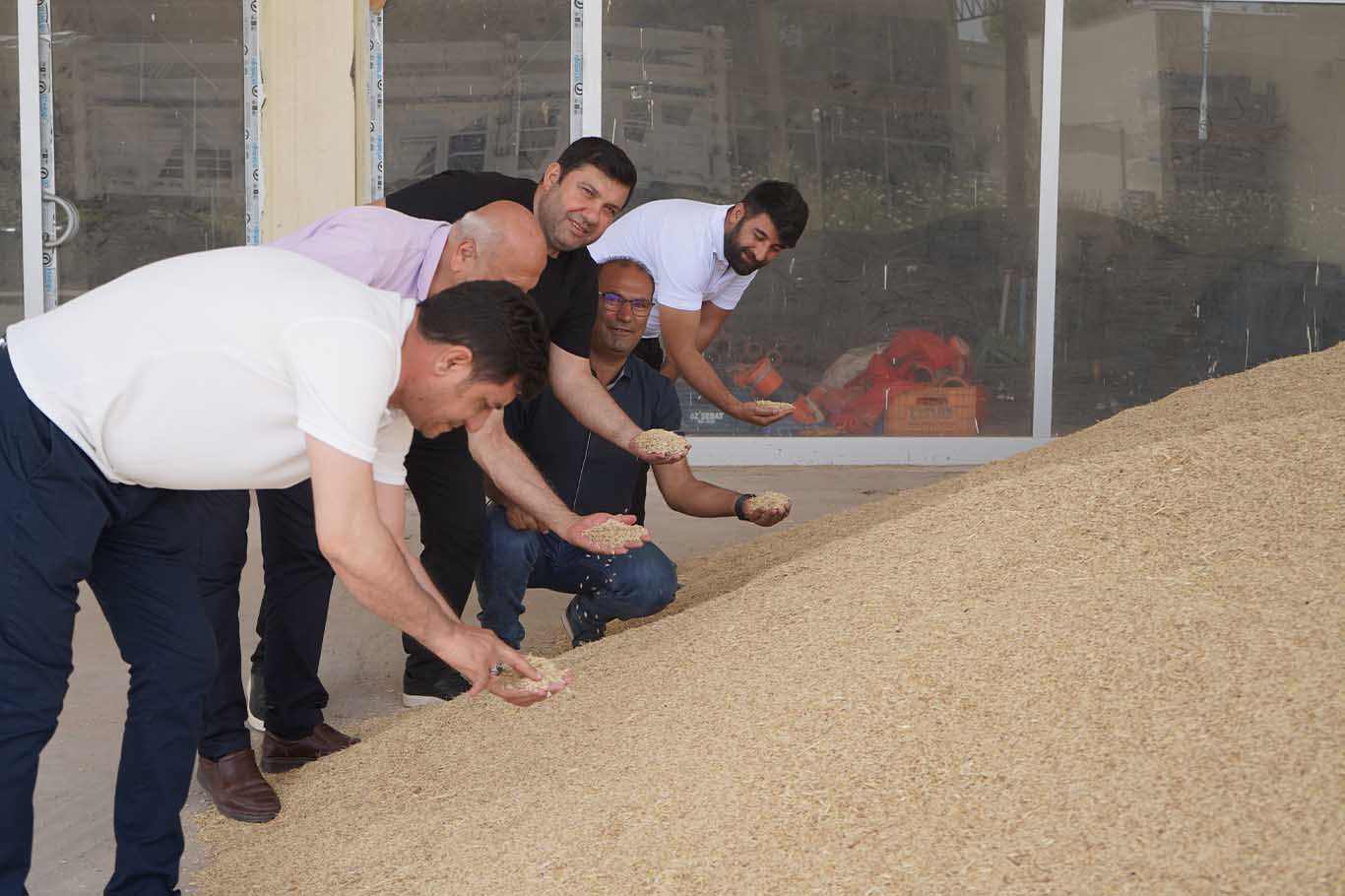 Bismil’de Ilk Arpa Ve Mercimek Ürünleri Buğday Pazarı’na Geldi 5