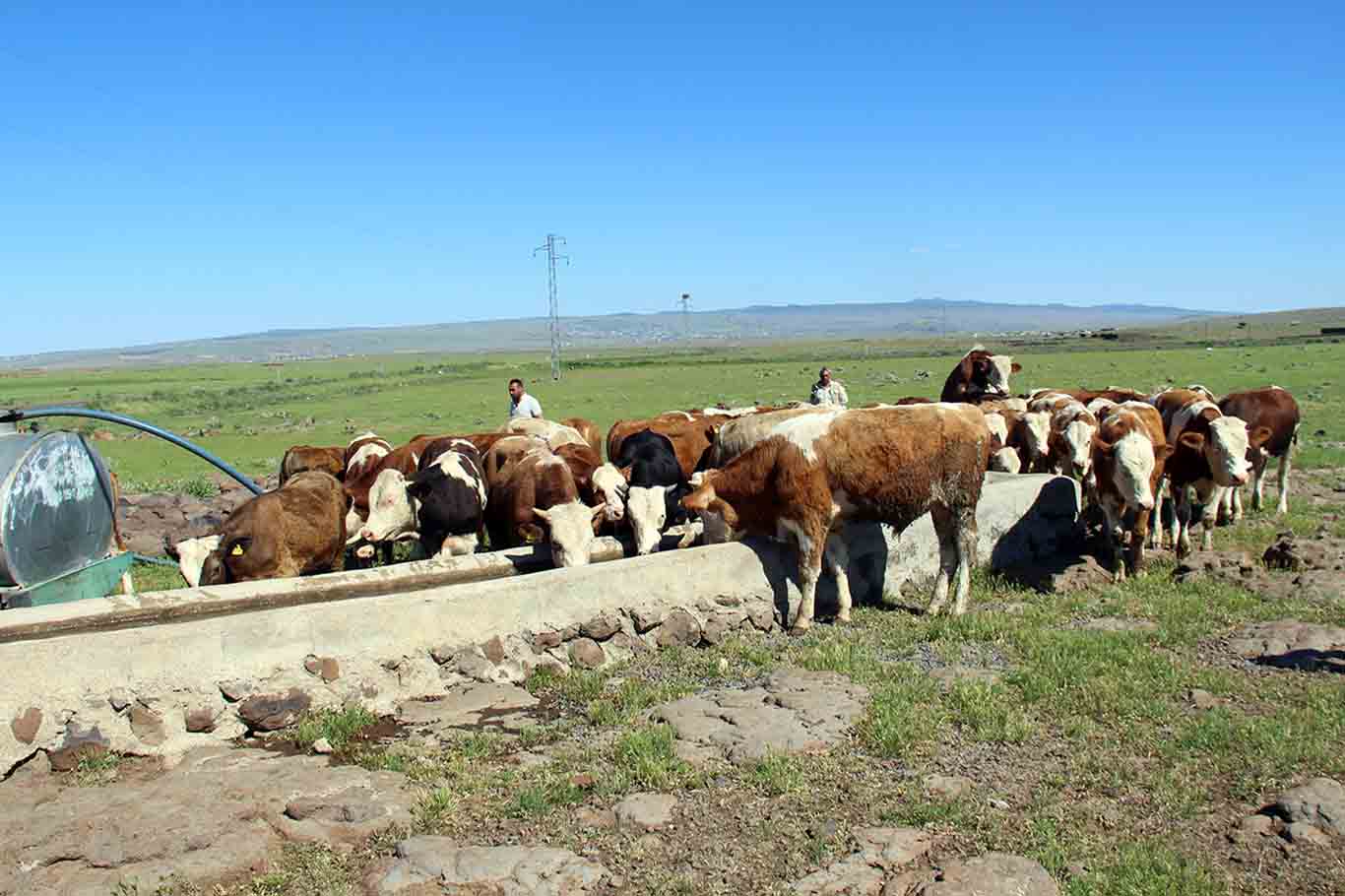 Diyarbakır’da 30 Yıldır Su Sıkıntısı Yaşayan Mahalle Sakinleri, Sorunlarına Çözüm Istiyor 1
