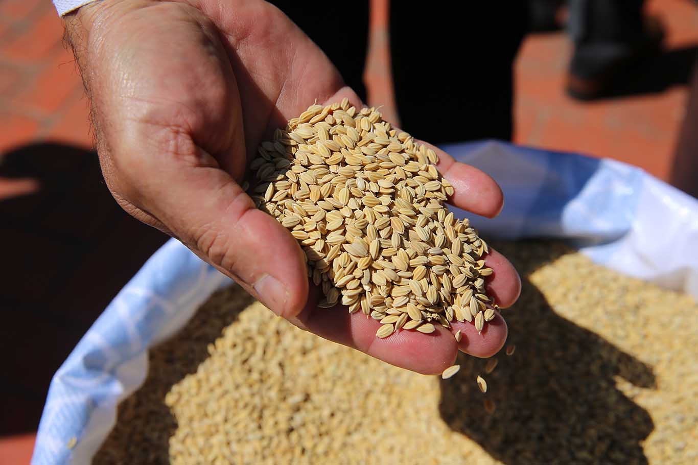 Diyarbakır'da 45 Çiftçiye 27 Ton Tohum Desteği 5