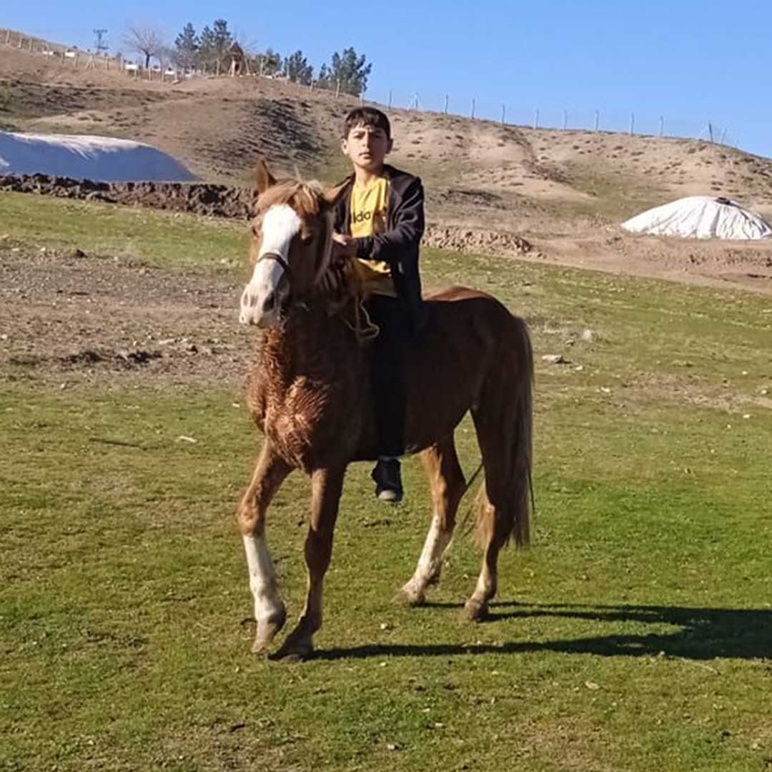 Diyarbakır’da Baba Ve Oğlunun Yakılması Olayında Yeni Gözaltılar 1