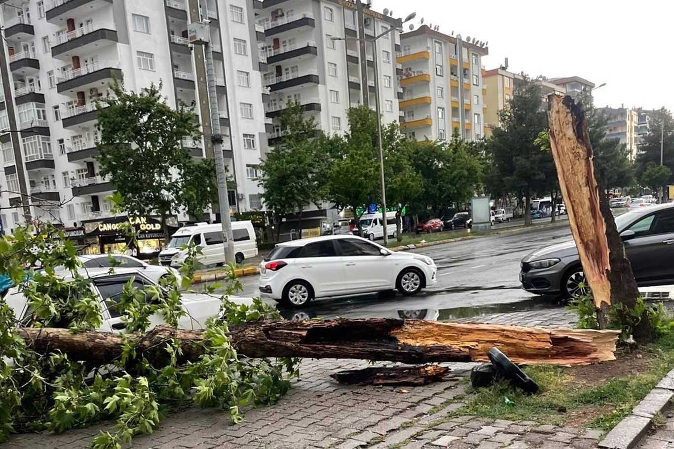 Diyarbakır’da Fırtına; Çatı Ve Ağaçlar, Araçların Üzerine Devrildi 3