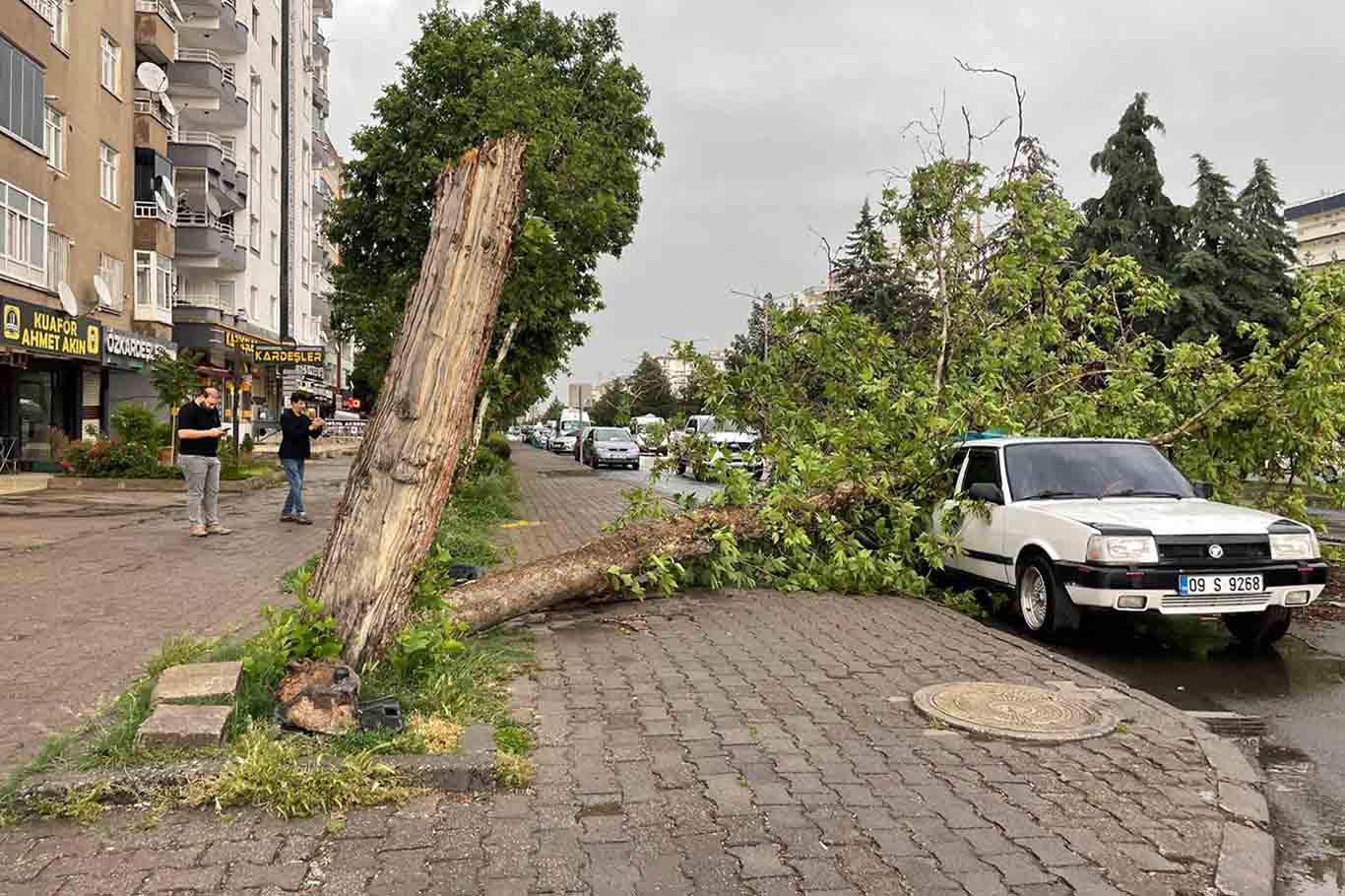 Diyarbakır’da Fırtına; Çatı Ve Ağaçlar, Araçların Üzerine Devrildi 4