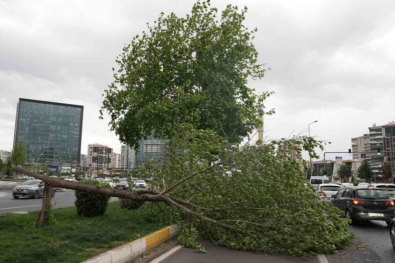 Diyarbakır’da Fırtına; Çatı Ve Ağaçlar, Araçların Üzerine Devrildi 7