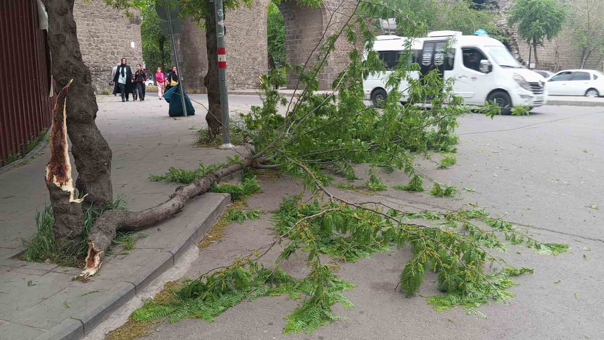 Diyarbakır’da Fırtına; Çatı Ve Ağaçlar, Araçların Üzerine Devrildi 8