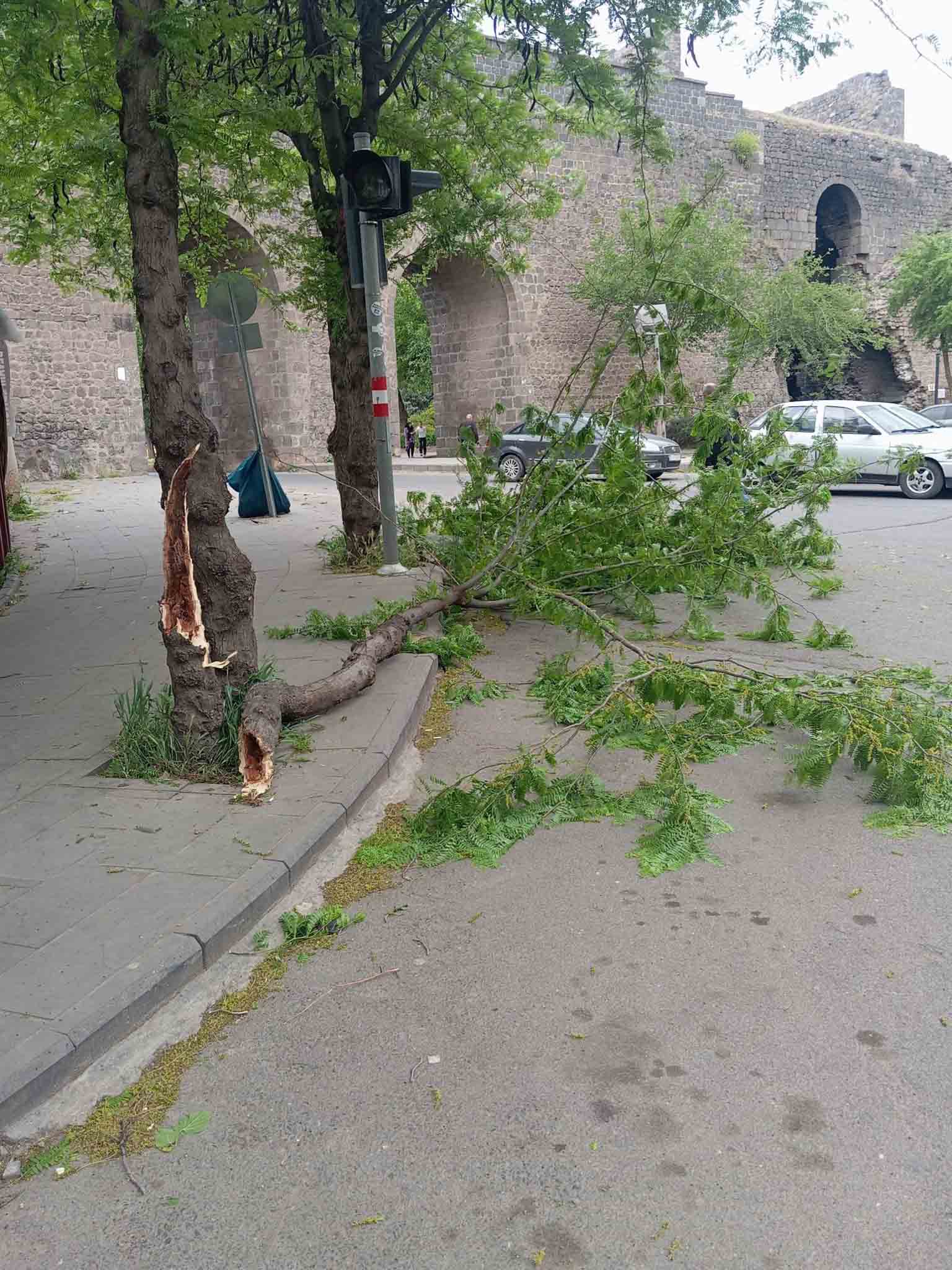 Diyarbakır’da Fırtına; Çatı Ve Ağaçlar, Araçların Üzerine Devrildi 9