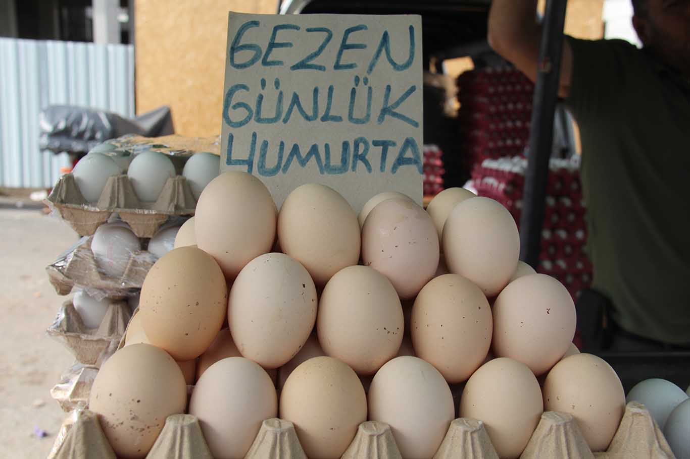 Diyarbakır’da Taneyle Alınıyordu, Şimdi Koli Ile Satılıyor 1