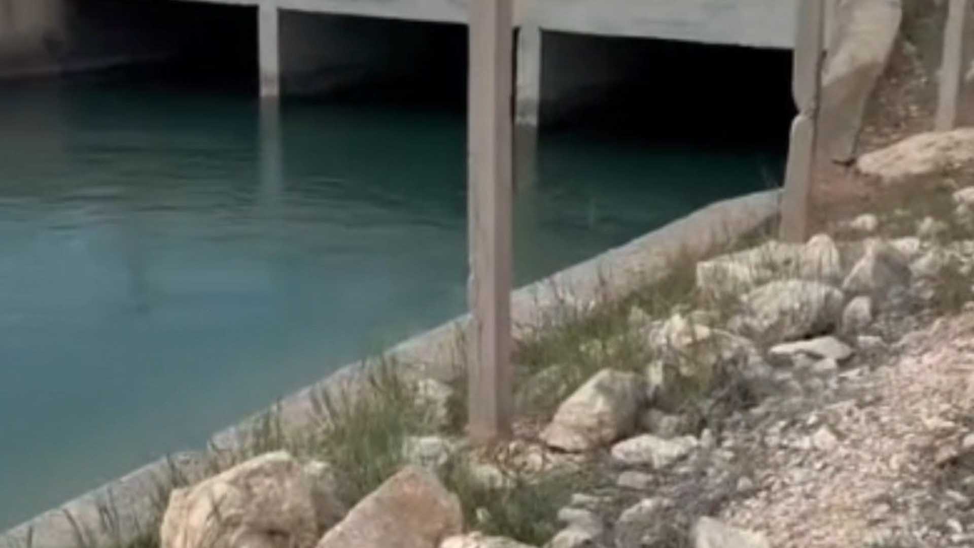 Düşen Kuzenini Kurtarmaya Çalışırken Birlikte Boğulmuşlar 4