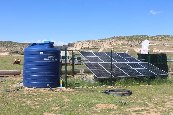 Mardin'de Mera Islah Projeleriyle 85 Bin Hayvanın İhtiyacı Karşılanacak (3)