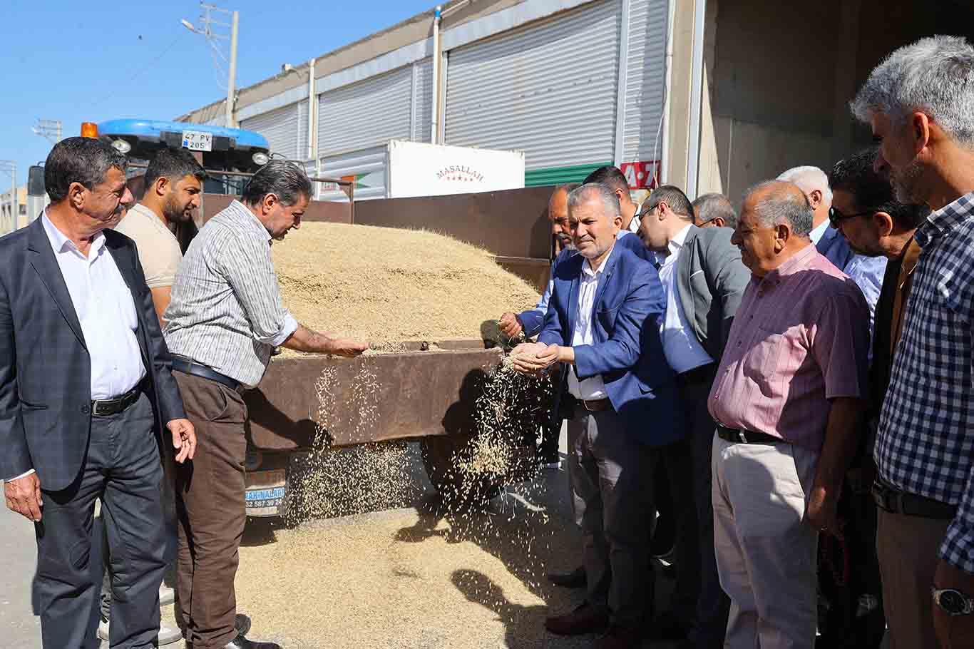 Mardin'de Sezonun Ilk Arpa Hasadı Yapıldı 3