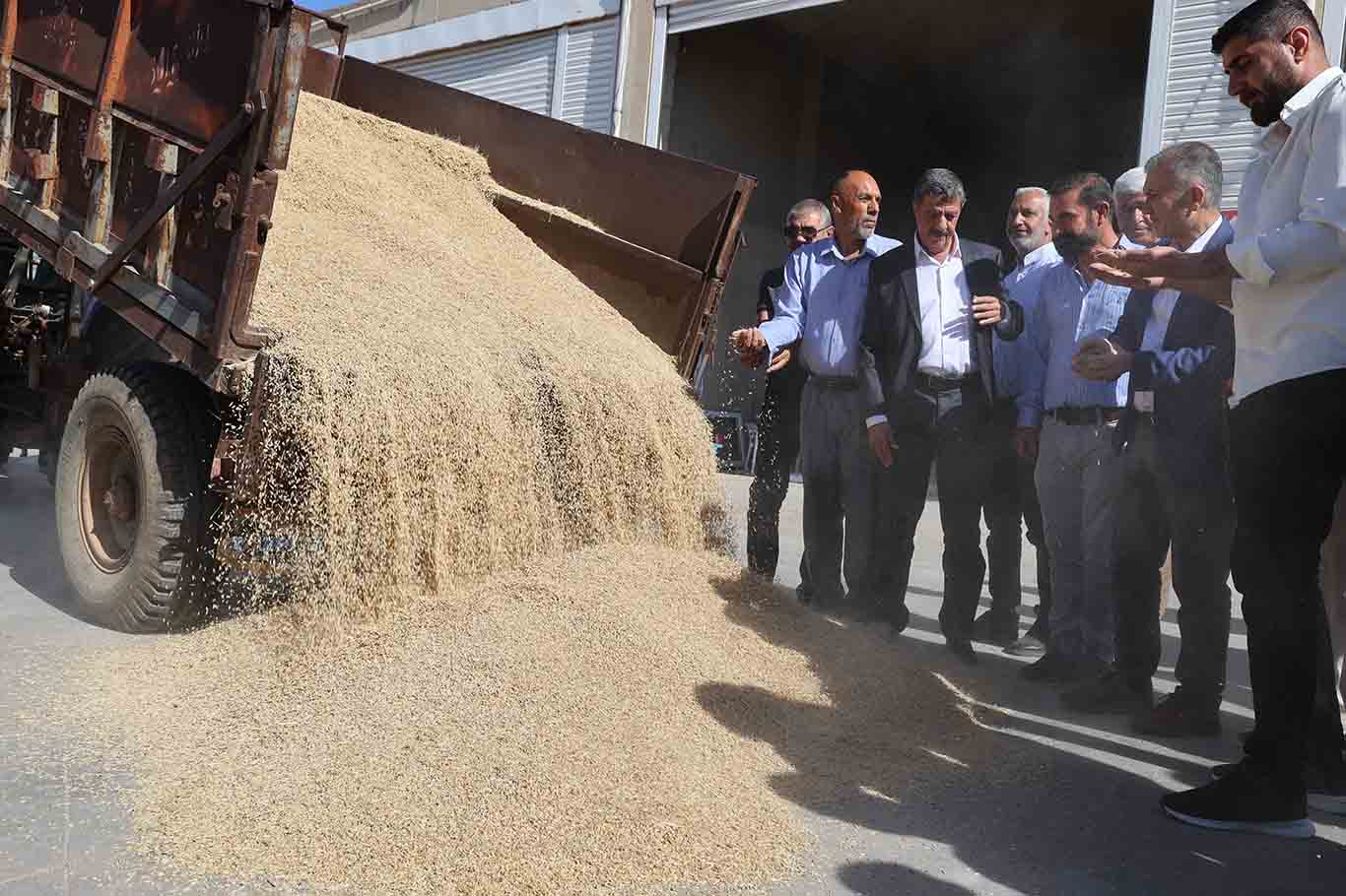 Mardin'de Sezonun Ilk Arpa Hasadı Yapıldı 4