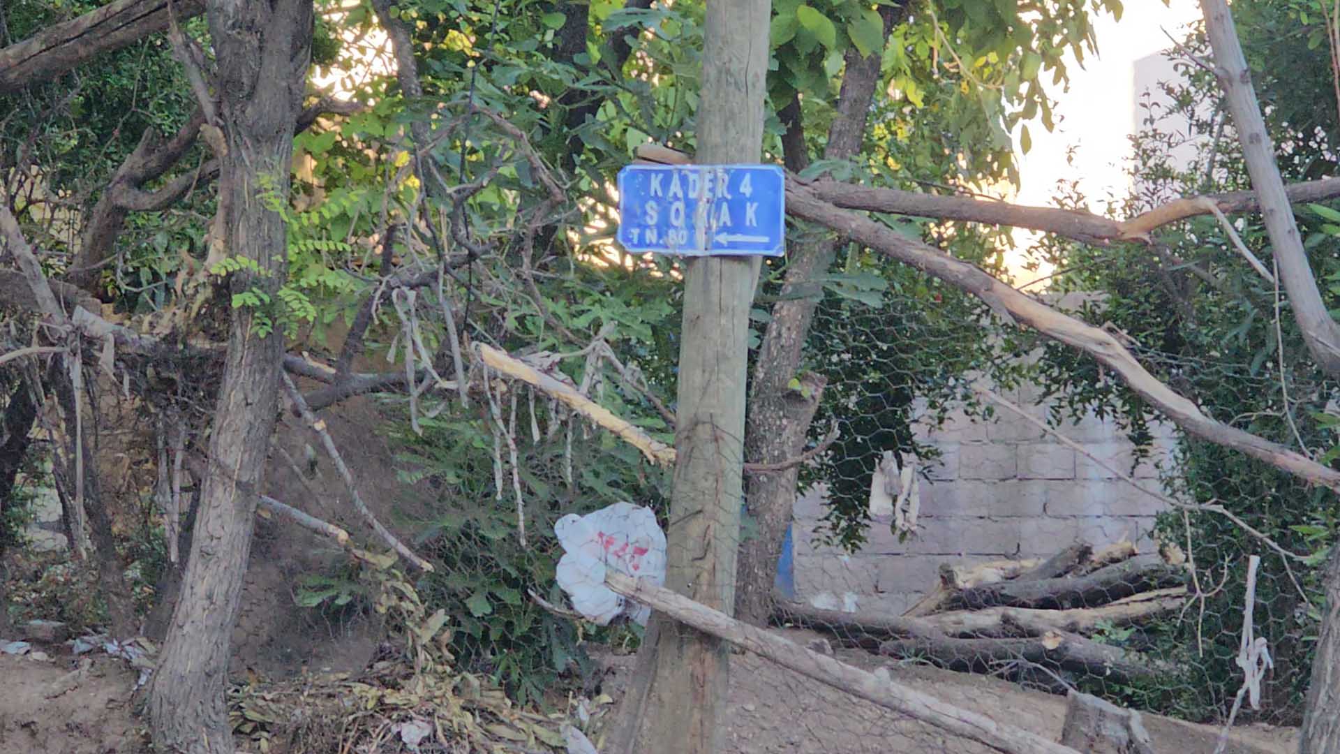 Baba, 2 Kızını Ve Kendisini Bıçakla Yaraladı 1