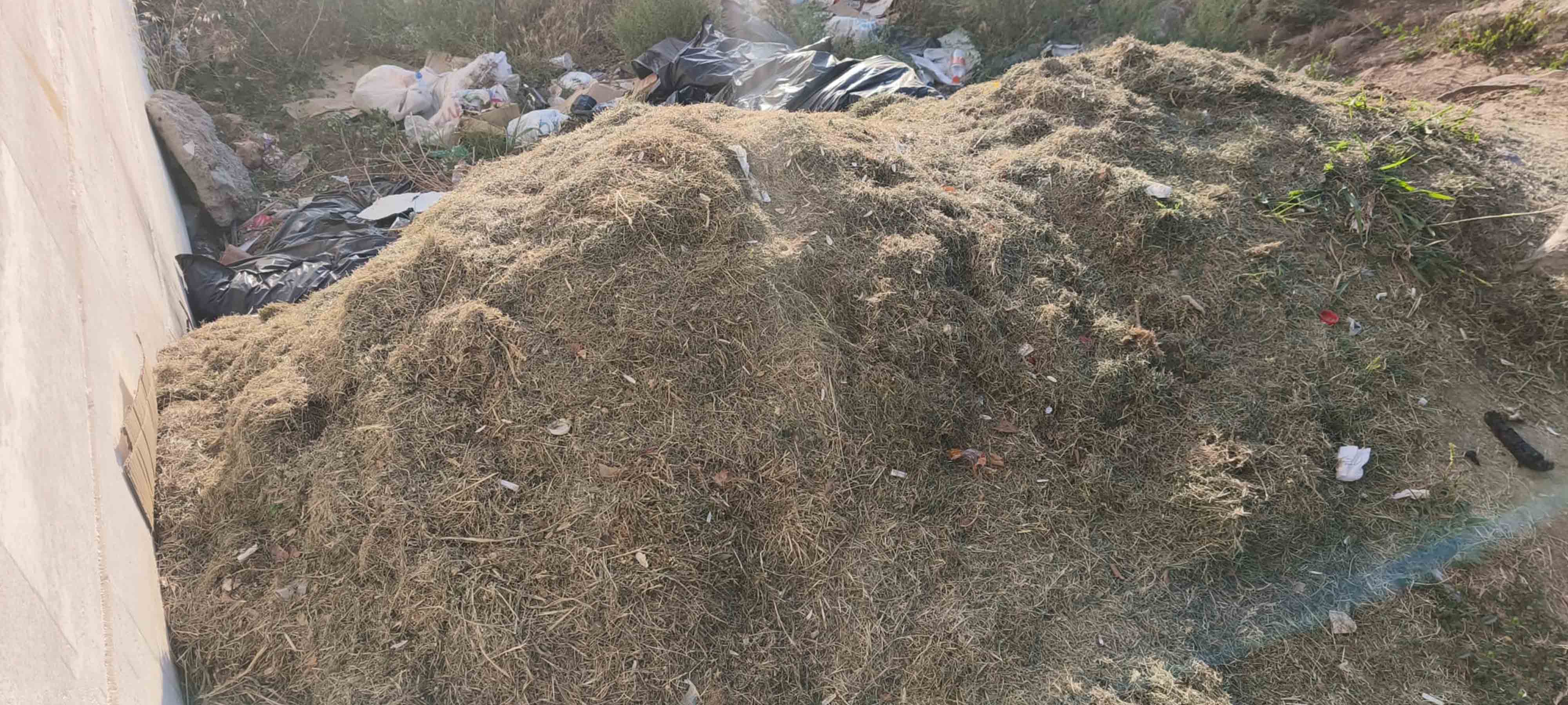 Bismil’de Biçilen Çimler Cami Kenarına Yığıldı, Vatandaş Kötü Kokudan Şikayetçi 2