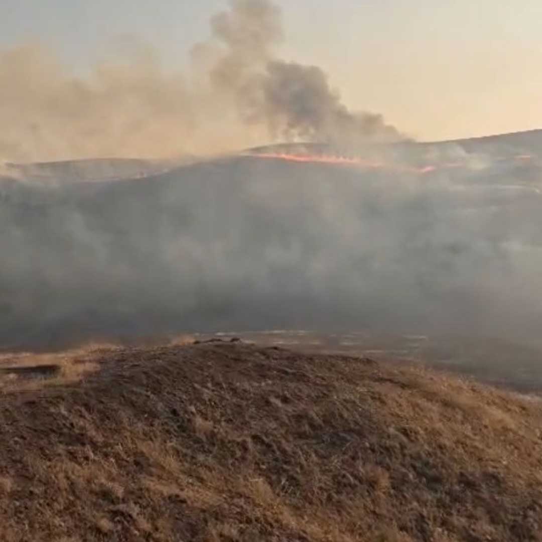 Diyarbakır’da Anız Yangını, 4 Saatlik Çalışma Ile Kontrol Altına Alındı 3