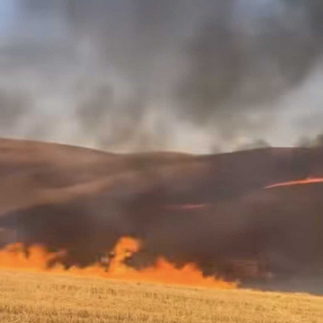 Diyarbakır’da Anız Yangını, 4 Saatlik Çalışma Ile Kontrol Altına Alındı 4