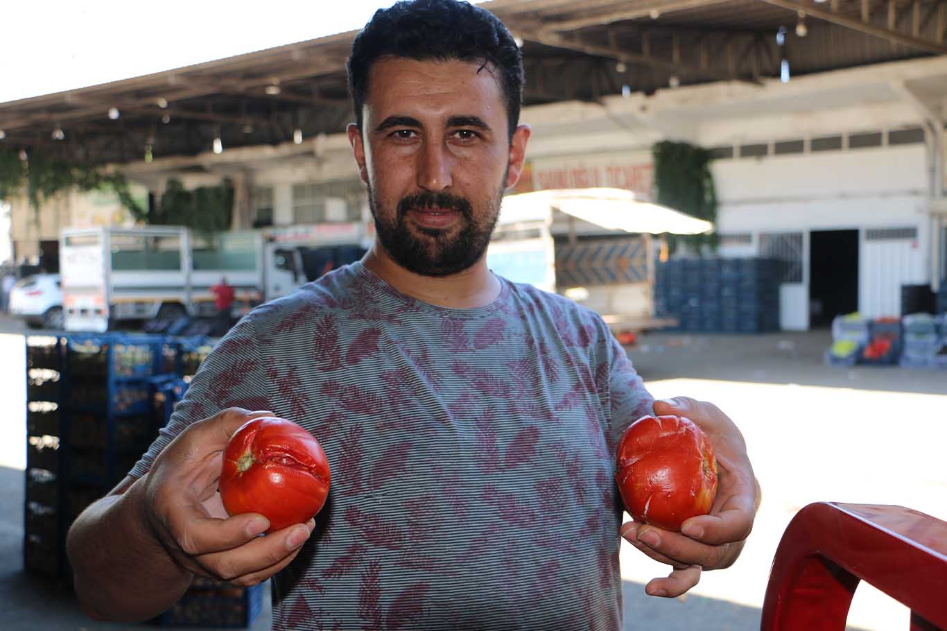Diyarbakır'da Aşırı Sıcaklar Sebze Ve Meyveleri Vurdu 2
