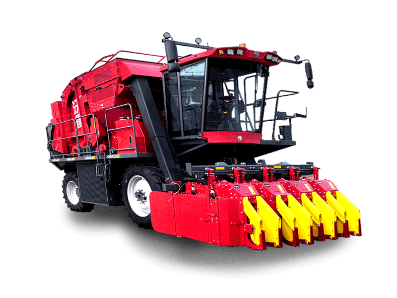I M G 5204