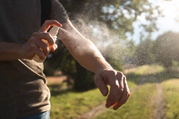 Istockphoto 2161168927 612X612