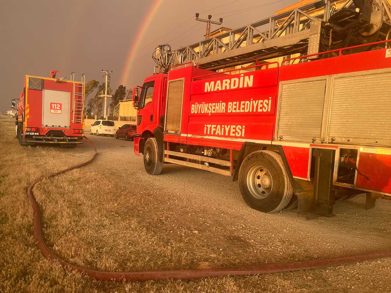Mardin'de 350 Dönüm Buğday Ekili Alan Yandı 1