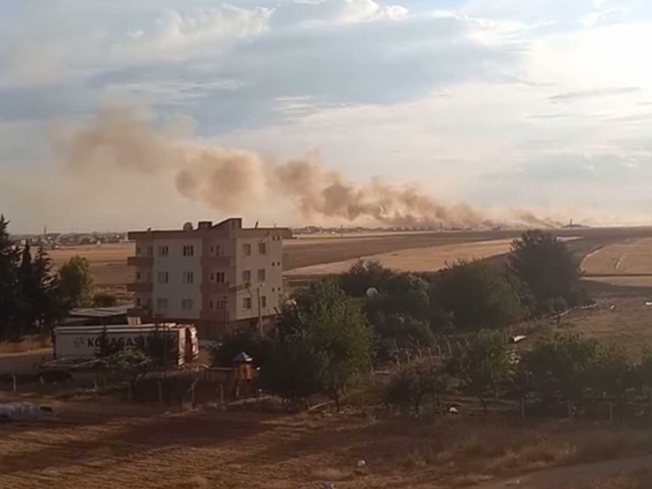 Mardin'de 350 Dönüm Buğday Ekili Alan Yandı 2