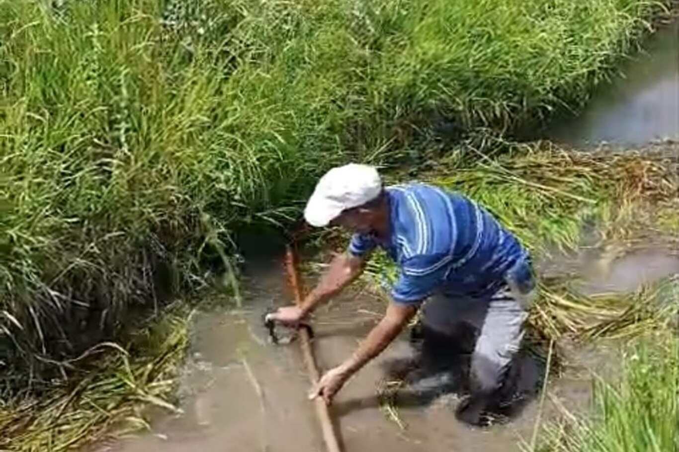 0E772766 6F86 49F2 8D83 4Ecebb9E