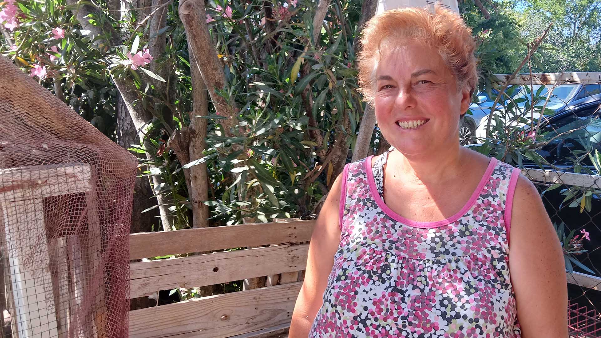 Denizde Yüzdükleri Için Şikayet Edilen Kazlar Kümese Kapatıldı 4