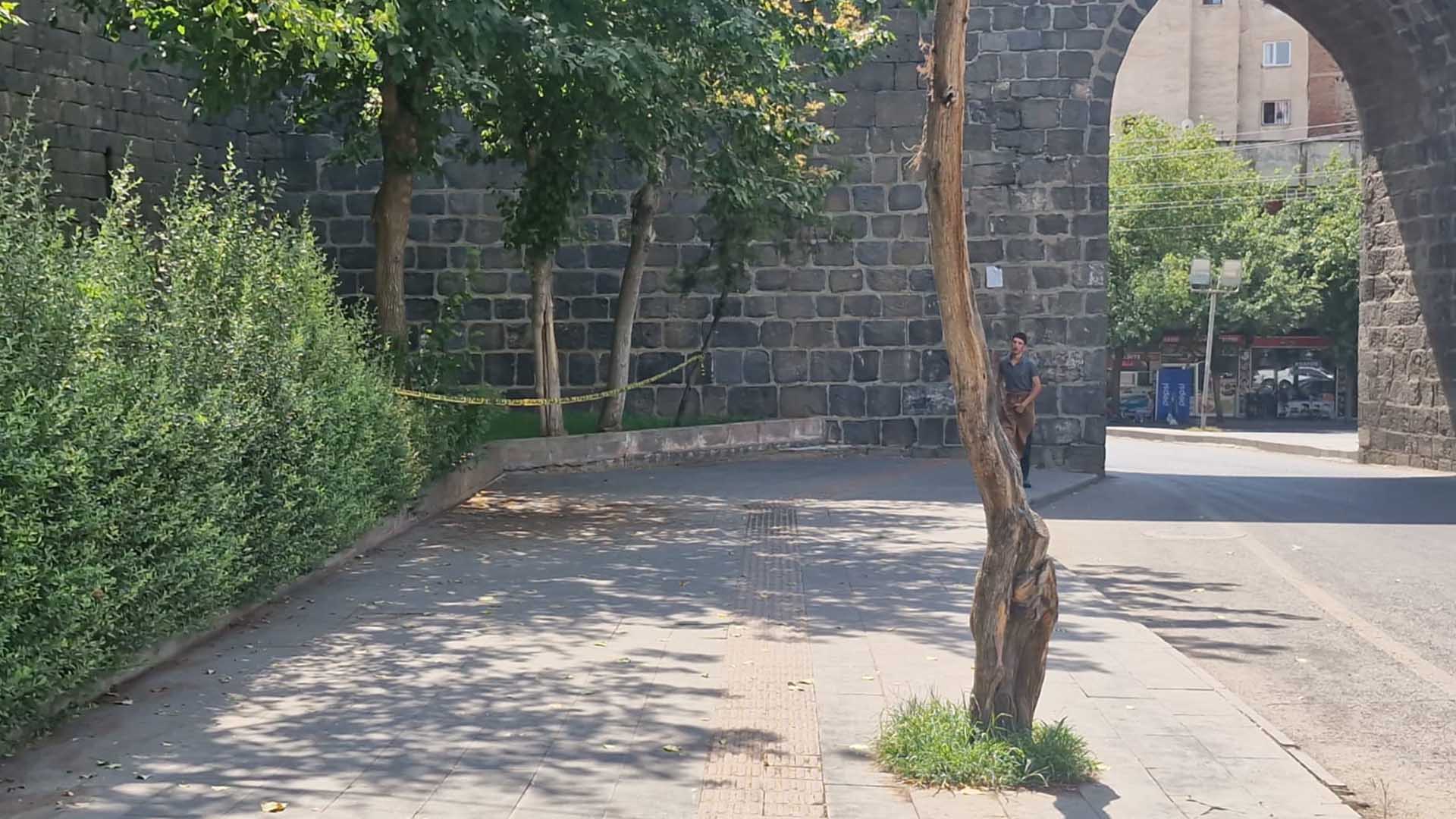 Diyarbakır’da 19 Yaşındaki Kadın, Birlikte Yaşadığı Kişi Tarafından Öldürüldü 3