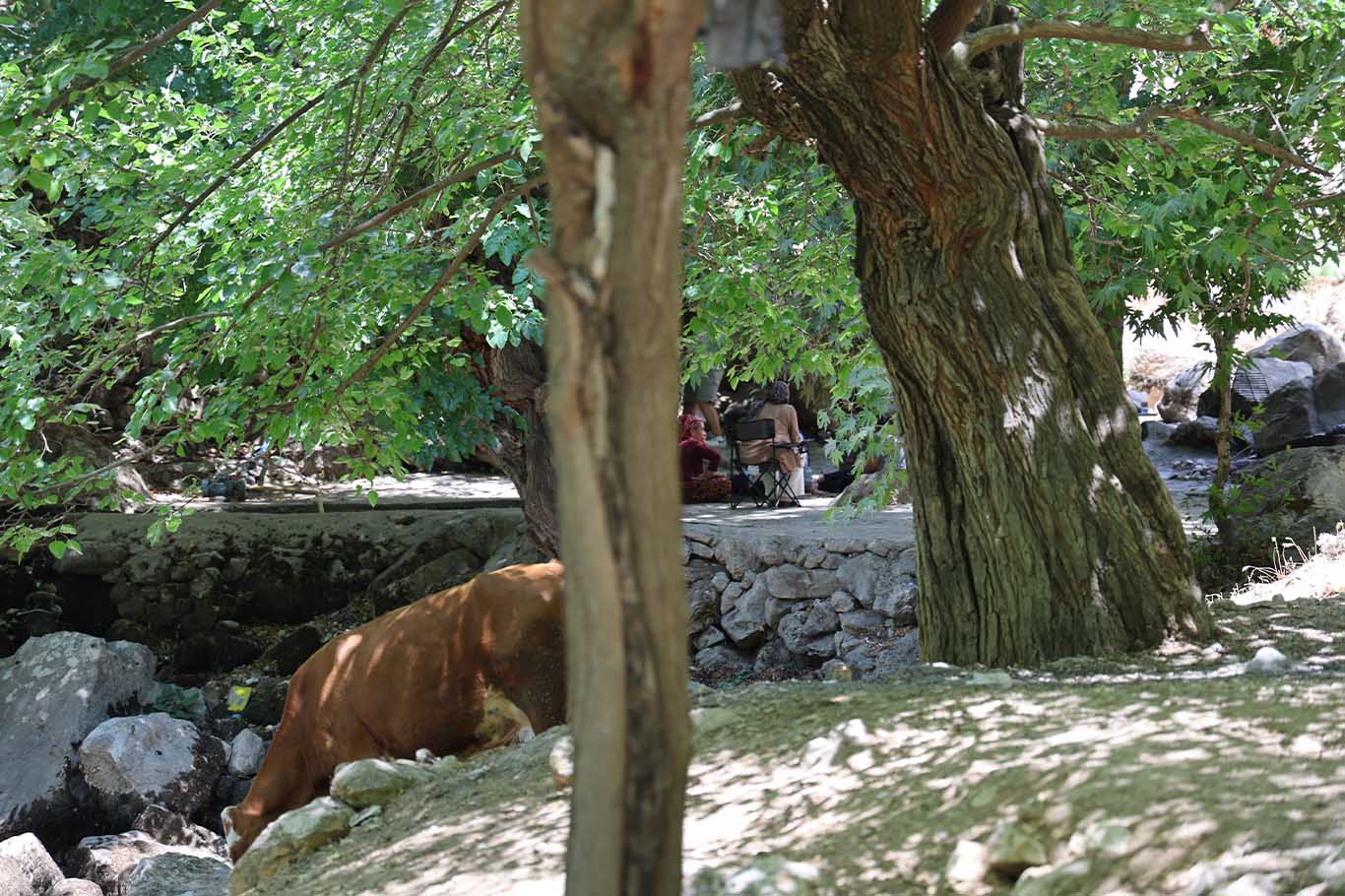 Diyarbakır’da Doğayla Iç Içe Serin Bir Kaçış Noktası 4