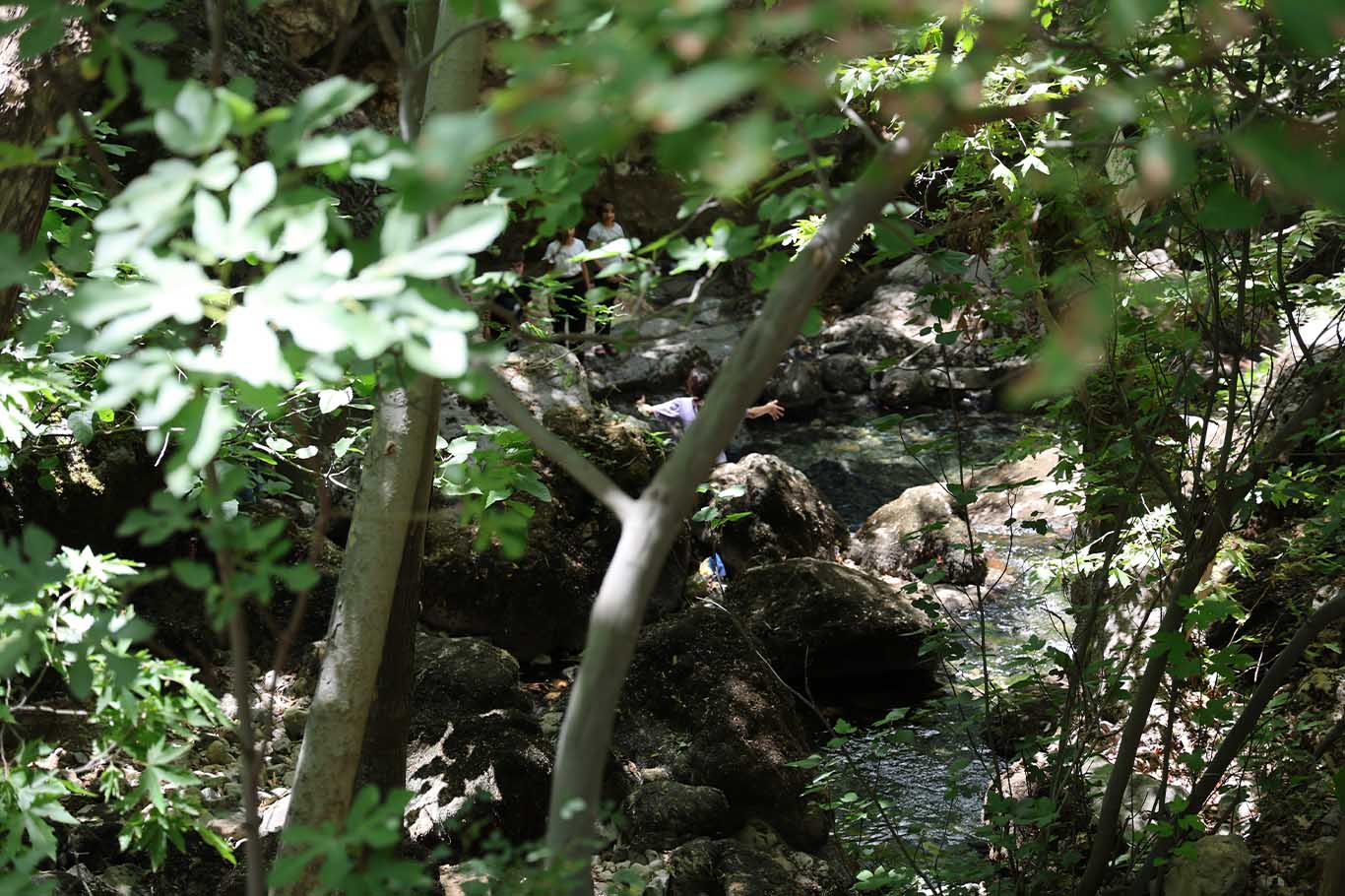 Diyarbakır’da Doğayla Iç Içe Serin Bir Kaçış Noktası 5